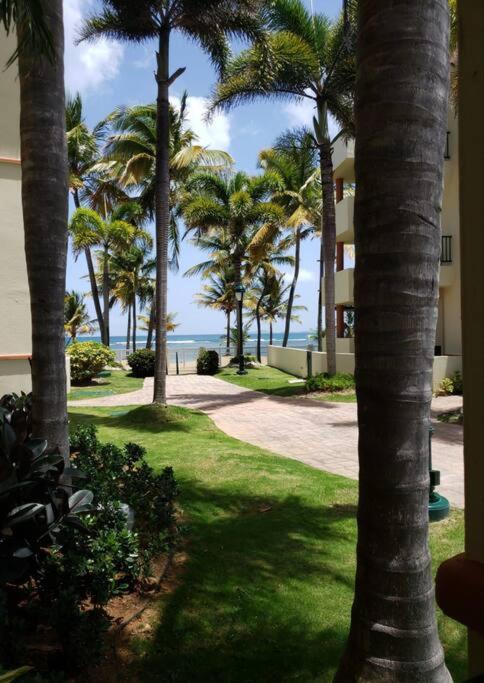 1St Level Unit Steps To Beach- Cold Air Conditioner At Poza Del Mar Luquillo Buitenkant foto
